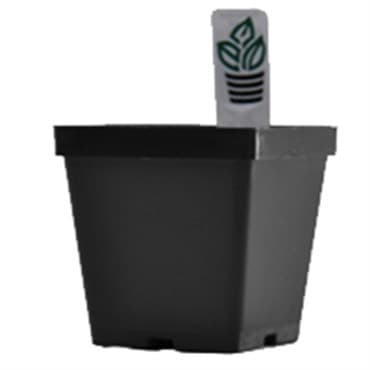 BLD MAXI SQUARE W/TS BLK  540/CS 40CS/PL 691705