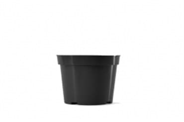 BLD 06.50  AZ BLK 300/CS 42CS/PL 692213