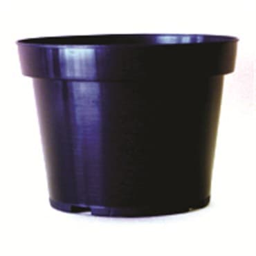 Belden 8.5" Azalea Black 100/cs