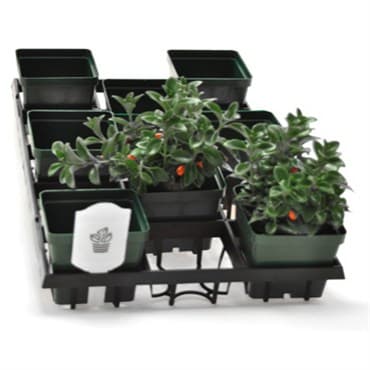 BLD WEBFIT 4515 TRAY 30/CS 42CS/PL  694214