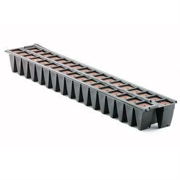 SMO OASIS 5625 WEDGE 34CT DBL STRIP  2448/CS 16CS/PL