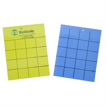 BioWorks Sticky Cards Yellow & Blue 100/bx 4 x 5