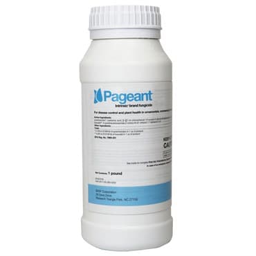 BASF Pageant Intrinsic 1Lb (4/Cs) AGENCY ( Boscalid + Pyraclostrobin )