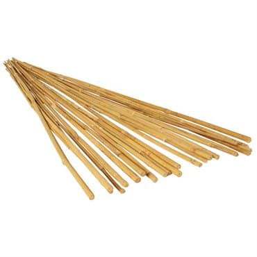 Bamboo Supply 3' Bamboo Stake 8-10mm Natural 500/BD
