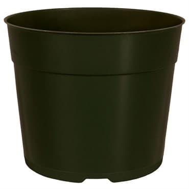 DLN 05.50 RND AZ TRAD T/W TX600 BLK 544/CS 30CS/PL