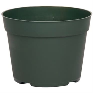 DLN 06.50 RND AZ TRAD T/W 300GN    240/CS 48CS/PL