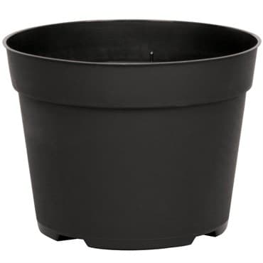 DLN 06.50 RND AZ TRAD T/W   BLK 240/CS 48CS/PL