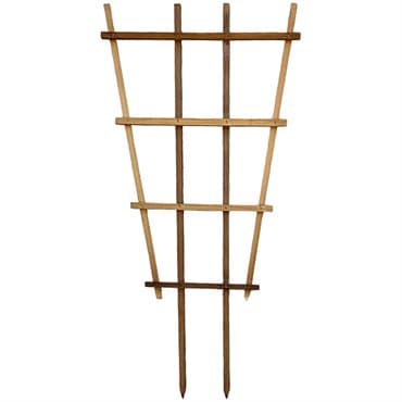 A&G 2'x4' Fan Espalier Trellis
