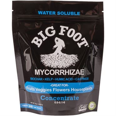 Big Foot 8oz Mycorrhizae Concentrate