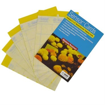 BASF Sensor Yellow Sticky Cards 3"x5"  50/PK (15/Cs)
