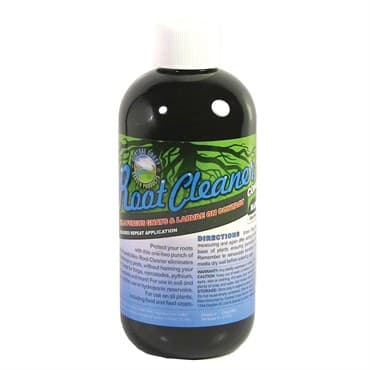 CCG 8oz Root Cleaner Concentrate
