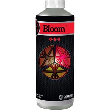 Cutting Edge Quart Bloom 0-6-5