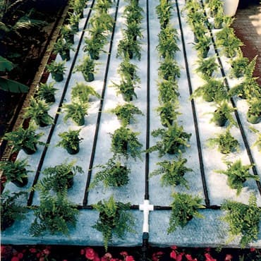 4' X 100' CAPMAT II CAPILLARY MATTING