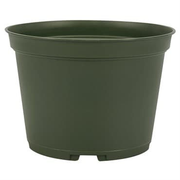 Dillen AZA0650 06.50 Round Azalea Pot Green 438 Per Case 32 Cases Per Pallet