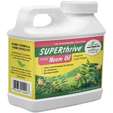 SUPERThrive 8oz Neem Oil Leaf Polish