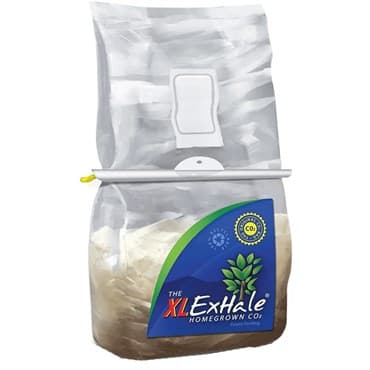 ExHale XL 8x7x11 Brown/White Media