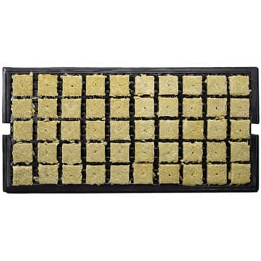 Grodan 1.5" AO Plugs w/Hole (1.4x1.4x1.9) -Tray (50 plugs/tray, 1500 plugs/carton)