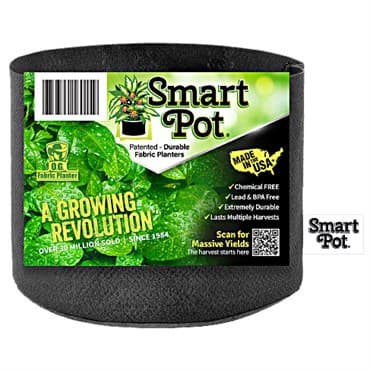 Smart Pot 1gal Black 100/CS