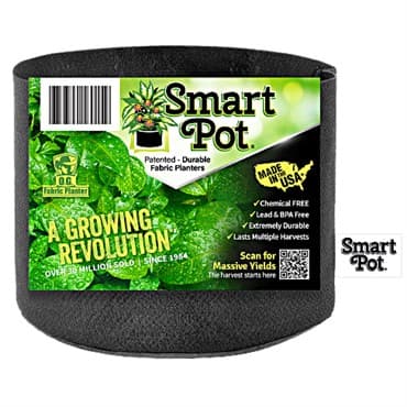 Smart Pot 2gal Black Bulk Box