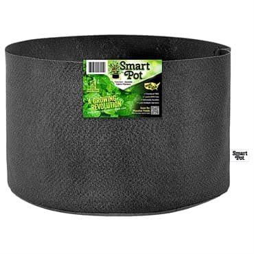 Smart Pot 10gal Black Bulk Box