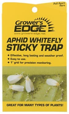 Grower's Edge 5pc Aphid Whitefly Sticky Trap (80/BX)