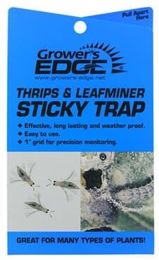 Grower's Edge 5pc Thrips & Leafminer Sticky Trap (80/BX)