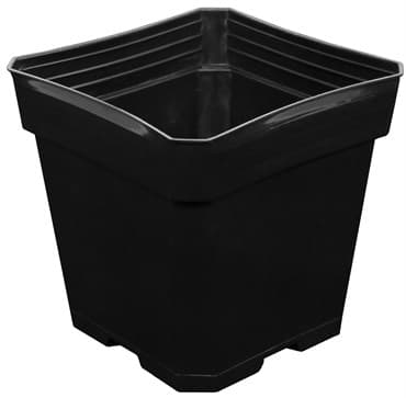 Gro Pro 5.5in x 5.5in x 5.75in Plastic Pot Black (200/CS)