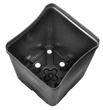 Gro Pro 5.5in x 5.5in x 6in Square Plastic Pot (200/CS)