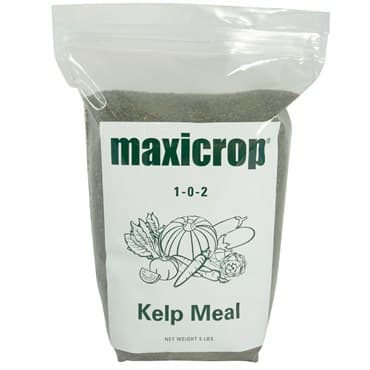 Maxicrop 5# Kelp Meal