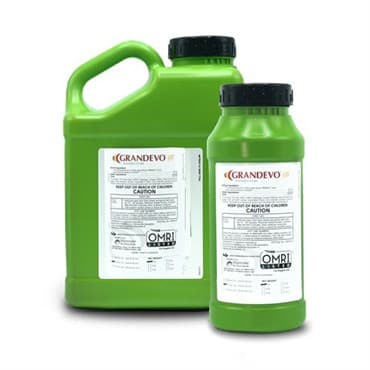 Grandevo WDG 6Lb (6/Cs) OMRI ( Chromobacterium subtsugae strain PRAA4-1 ) Bioinsecticide (Grandevo PTO)