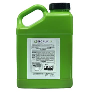 Regalia CG 1Gl OMRI ( Reynoutria sachalinensis ) Biofungicide (Regalia PTO)