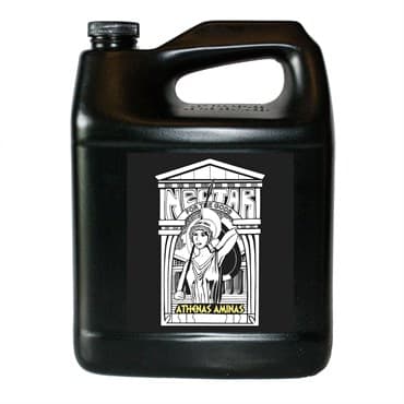 Nectar for the Gods Gallon Athenas Aminas