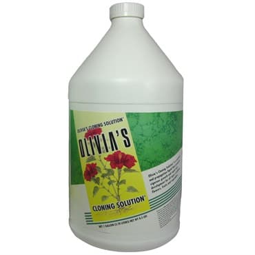 Olivia's 1gal Cloning Solution