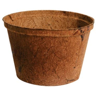 PlantBest 6.00" Biodegradable Coconut Coir Pot 448/Bulk Case