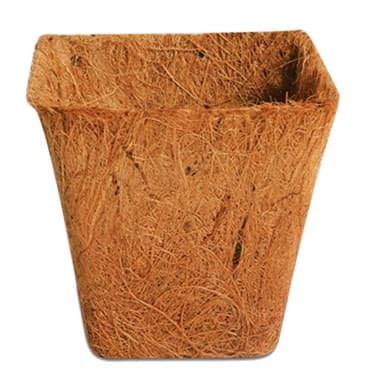 PlantBest 3.00" Sq Biodegradable Coir Pot 800/Bulk Case