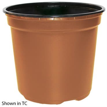 POPP VCC 16.5K TRADE GALLON 2.50 QT WITH TAGLOCK BLACK 9856/PL