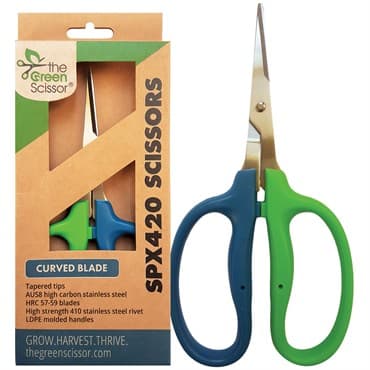 Green Scissor SPX420 Scissors - Curved