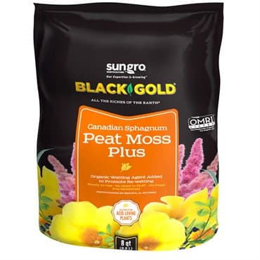 Black Gold Peat Moss Plus 8qt (240/PL)