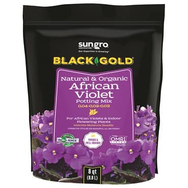 Black Gold African Violet Mix 8qt (240/PL)