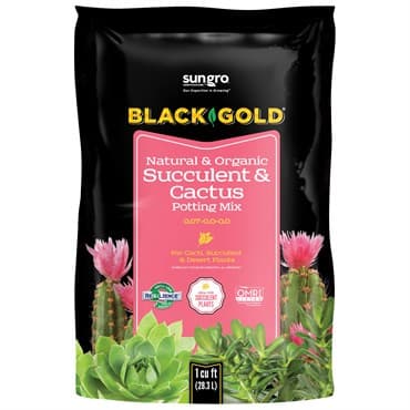 Black Gold Cactus Mix 1cf