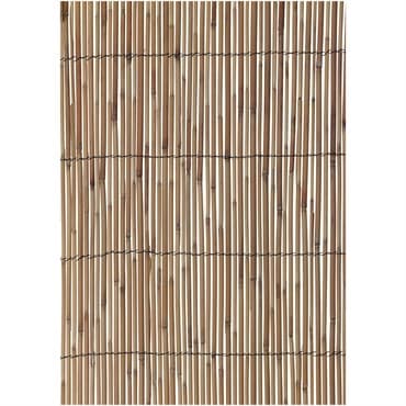 WSP HG 13'x5' Reed Fencing